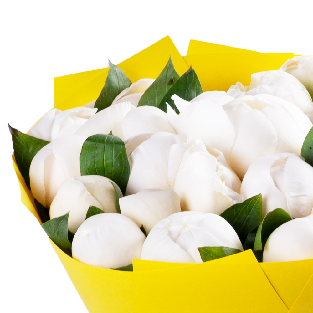 25 белых пионов в крафте