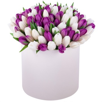 101 разноцветный тюльпан в кремовой шляпной коробке