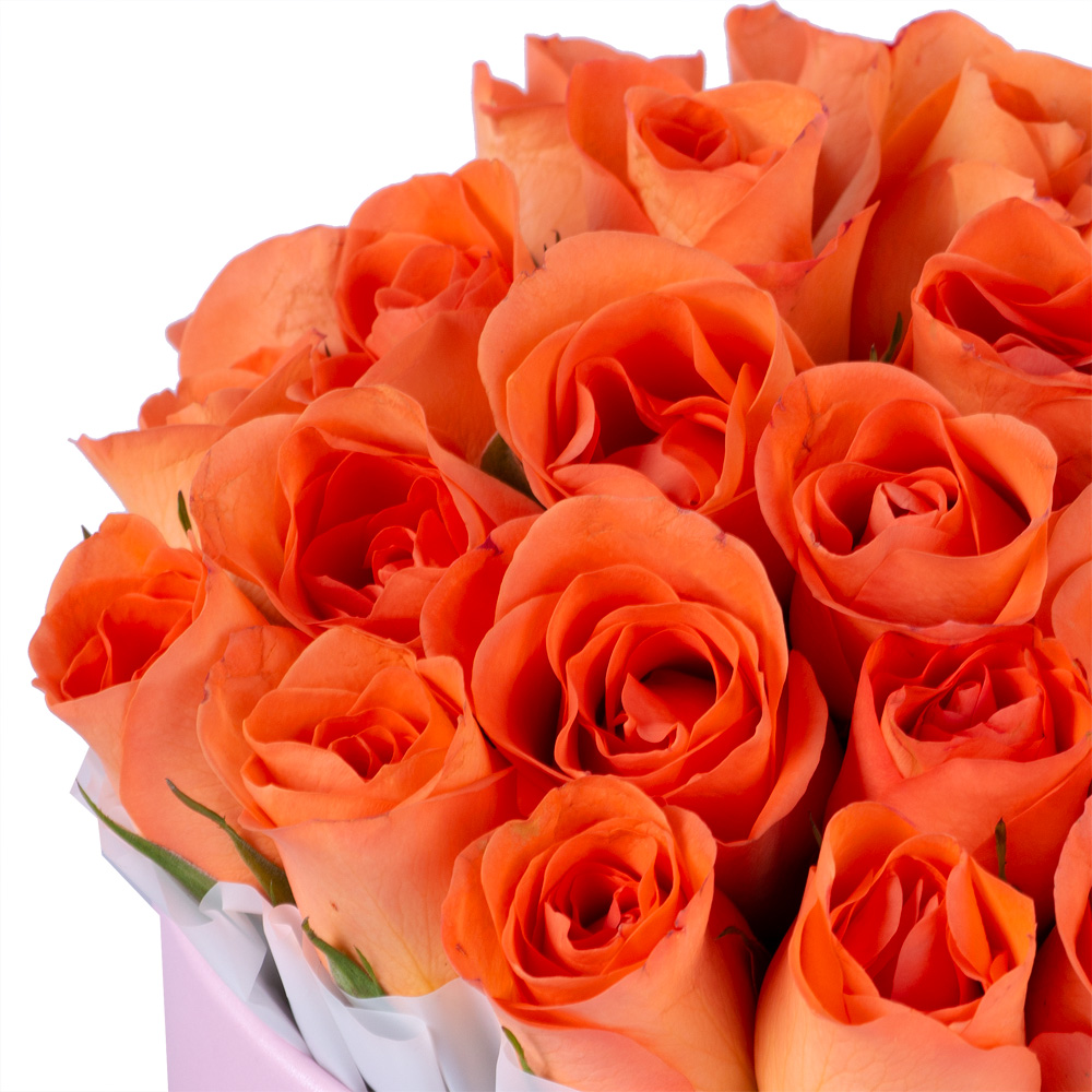 25 оранжевых роз в розовой шляпной коробке