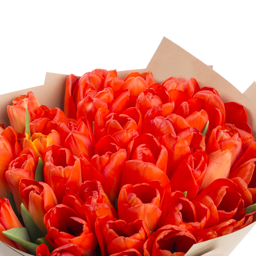 35 оранжевых тюльпанов
