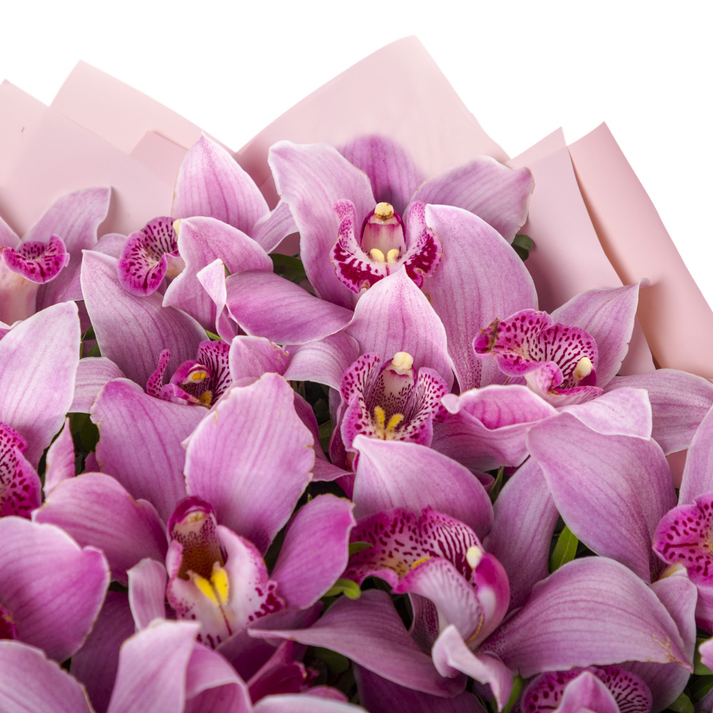 Букет из 35 фиолетовых орхидей