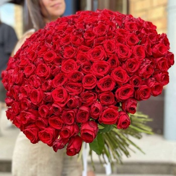 201 красная роза Premium 60 см.