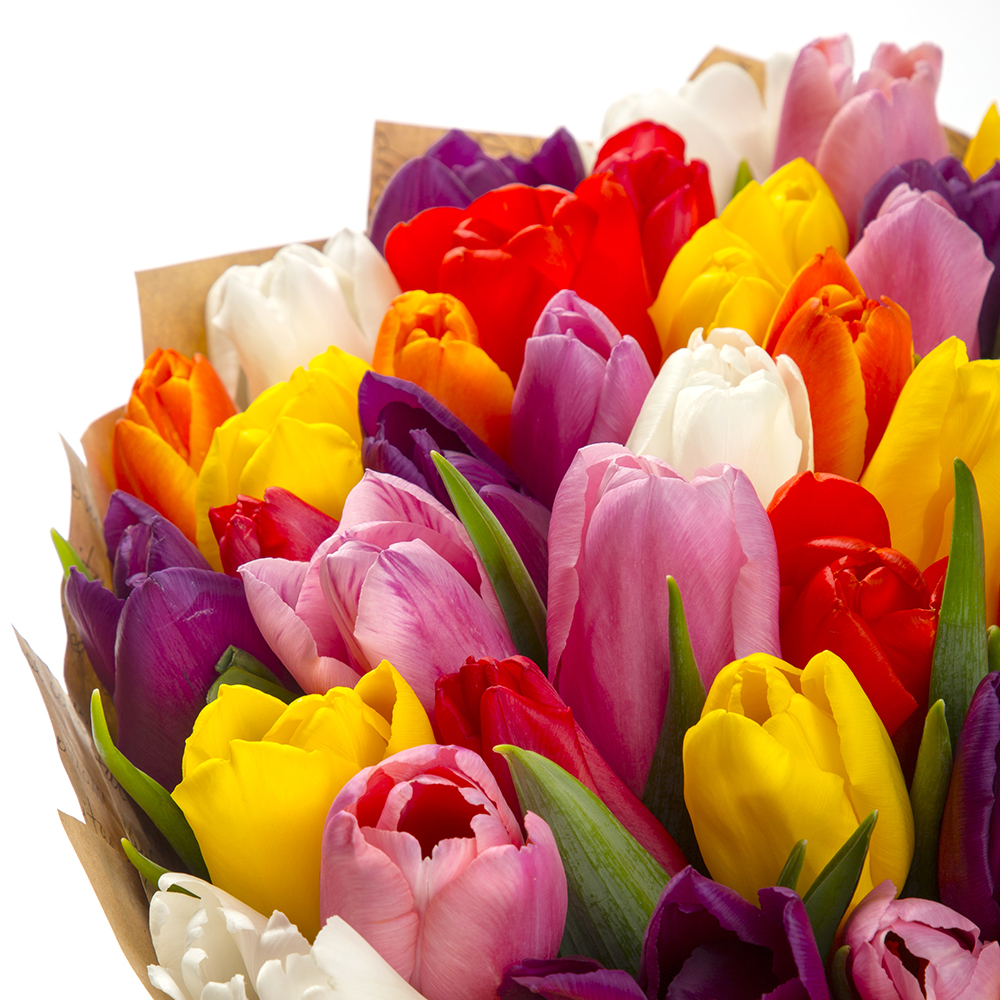 51 разноцветный тюльпан в крафте
