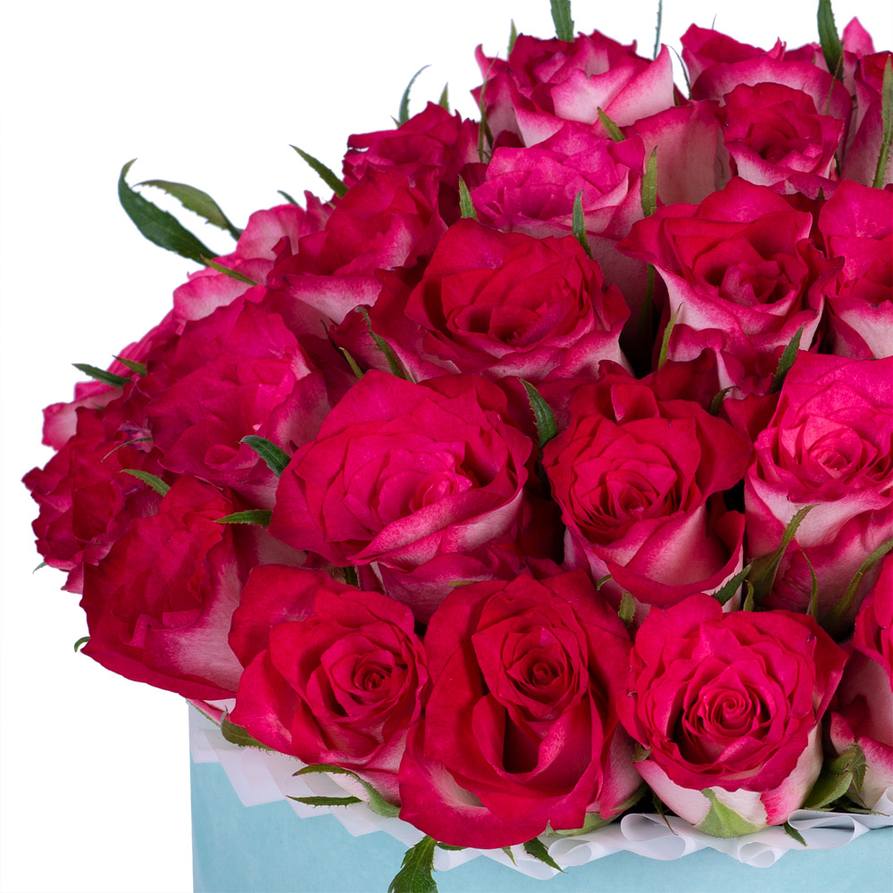 Букет из 51 бело-малиновой розы в зеленой бархатной шляпной коробке