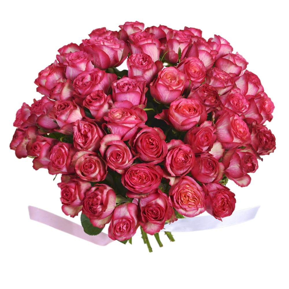 Букет из 51 розовой пионовидной одноголовой розы