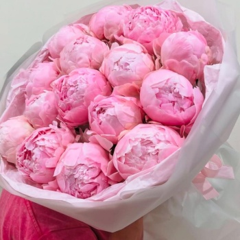 Букет из 17 нежно-розовых пионов