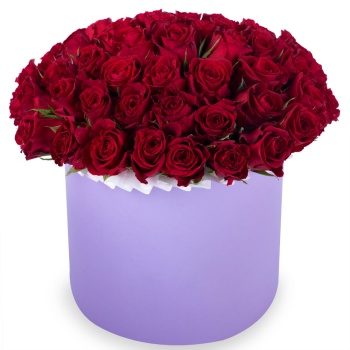 51 красная роза в фиолетовой шляпной коробке