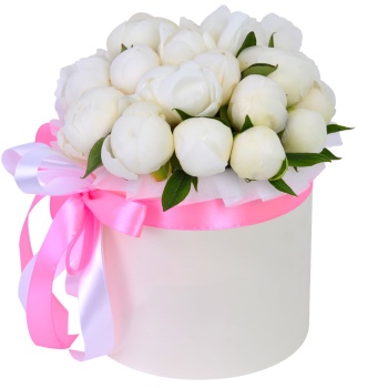 Букет из 19 белых пионов в кремовой шляпной коробке