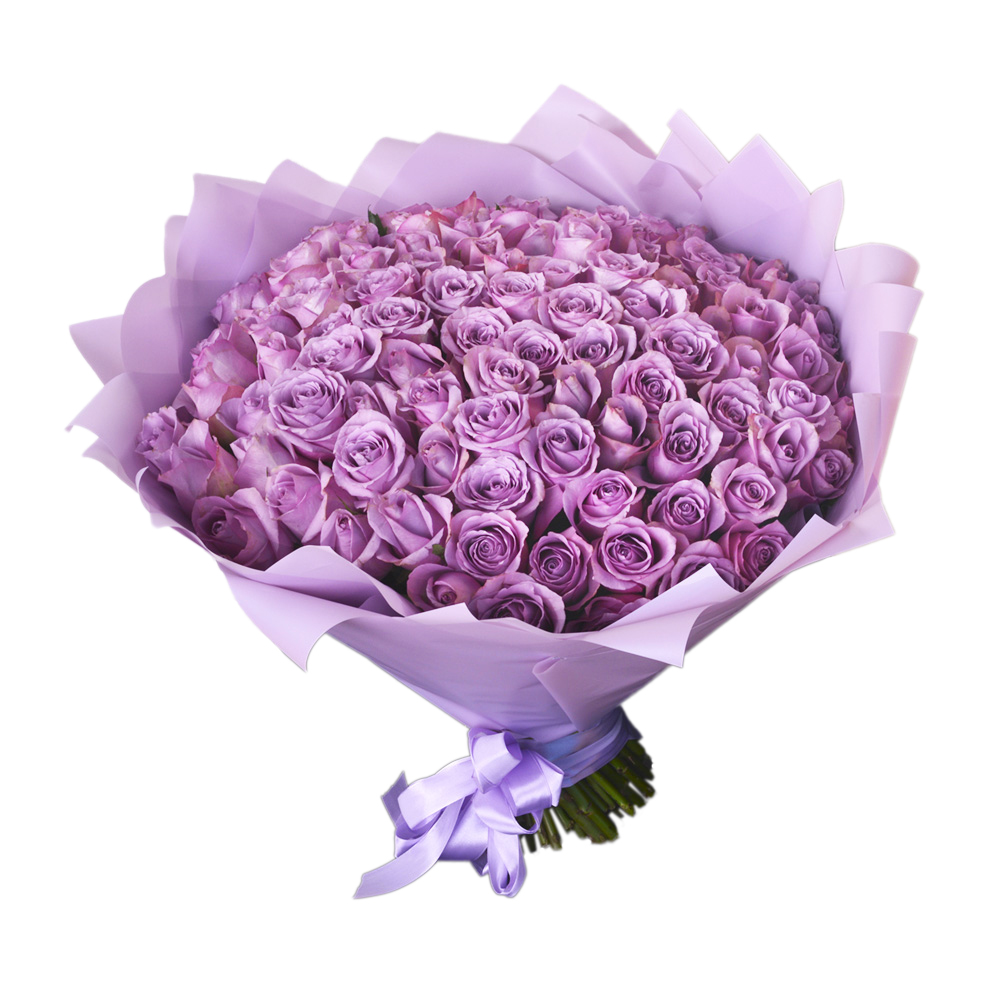 101 cиреневая роза