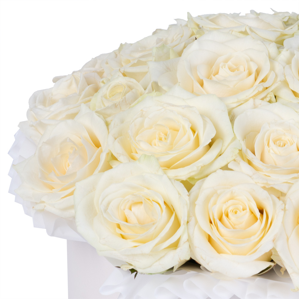 25 белых роз premium в кремовой шляпной коробке