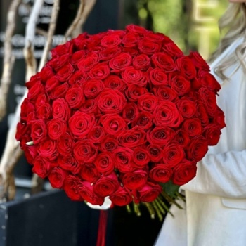 101 красная роза