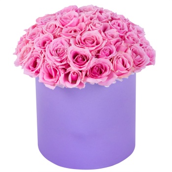Букет из 51 розовой розы premium в фиолетовой шляпной коробке