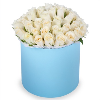51 белая роза в голубой шляпной коробке