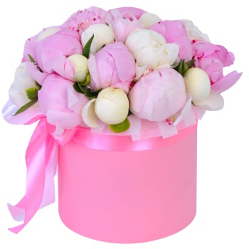 Букет из 21 разноцветного пиона в розовой шляпной коробке