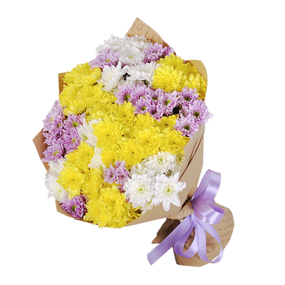 21 разноцветная хризантема