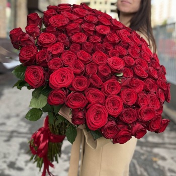 101 красная роза Premium 80 см.