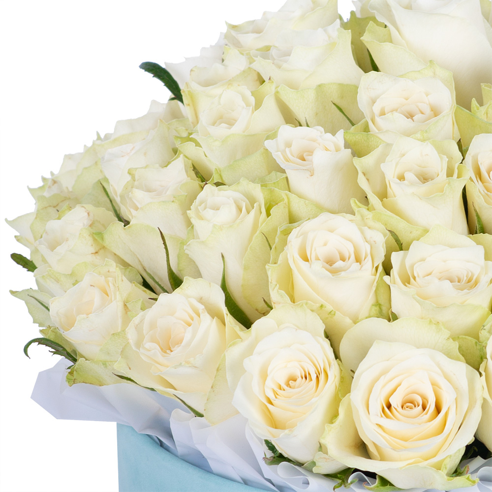 Букет из 75 белых роз в зеленой бархатной шляпной коробке