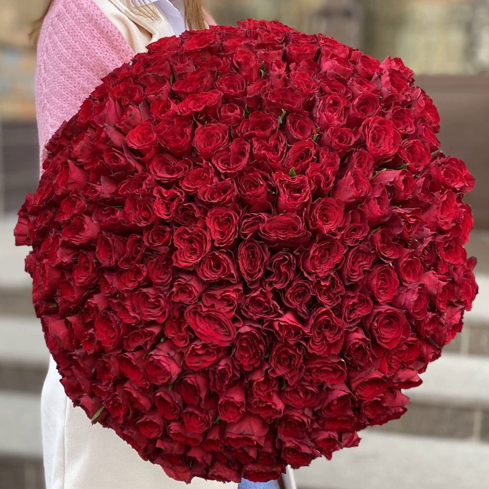 301 красная роза 50 см.