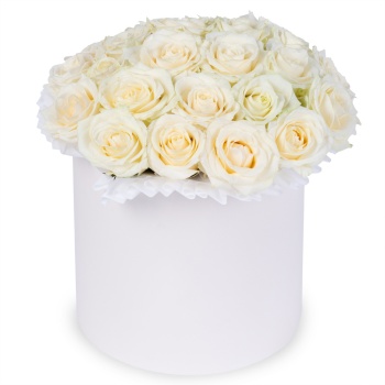 25 белых роз premium в кремовой шляпной коробке