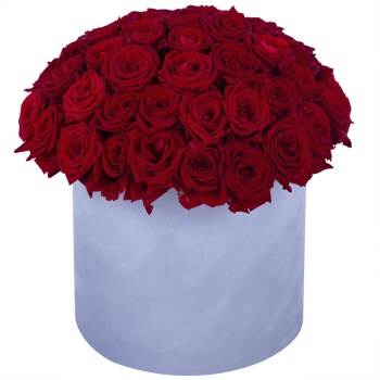 Букет из 51 красной розы premium в серой бархатной шляпной коробке