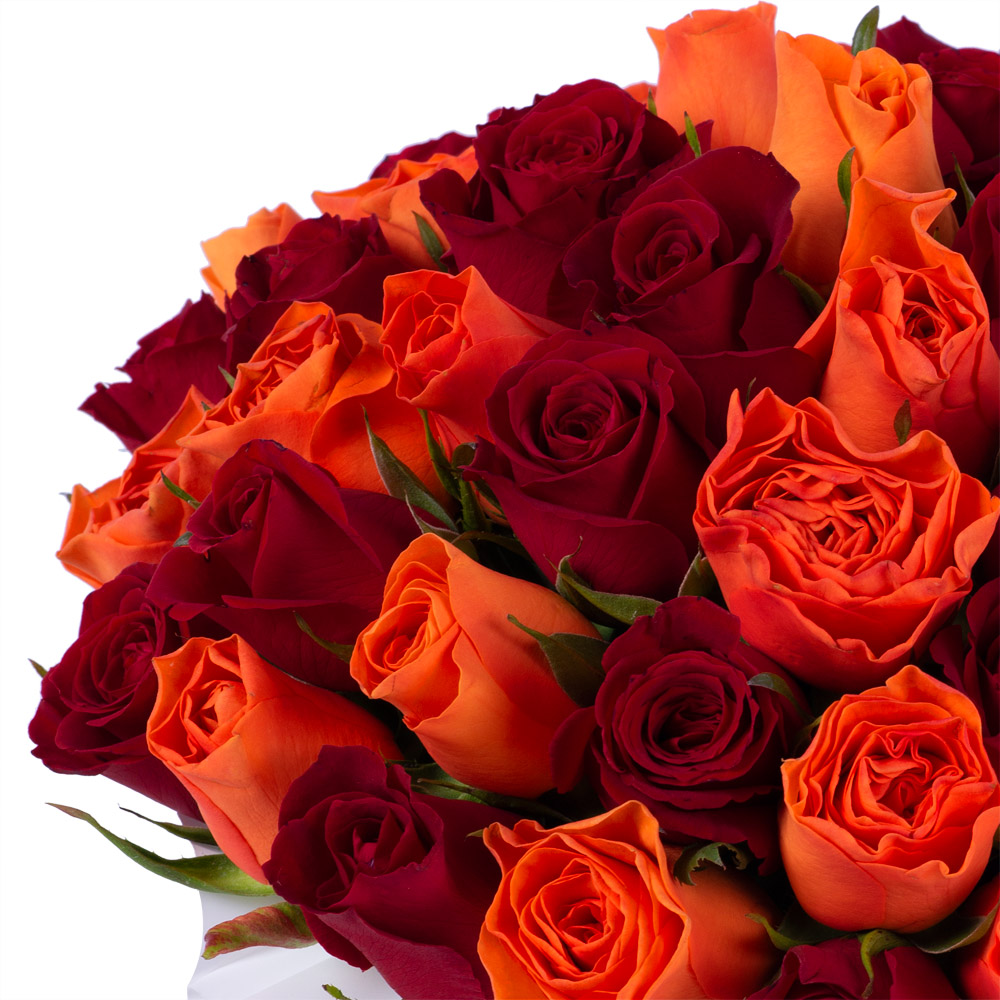 51 разноцветная роза в кремовой шляпной коробке