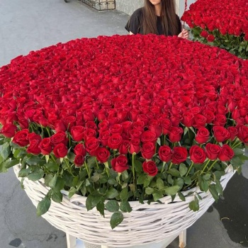 Шикарная корзина из 1001 красной розы 