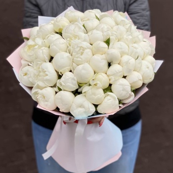 Букет из 51 белого пиона