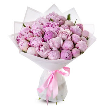 Букет из 31 нежно-розового пиона