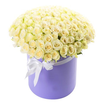 101 белая роза в шляпной коробке