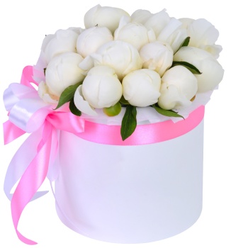 Букет из 15 белых пионов в белой шляпной коробке