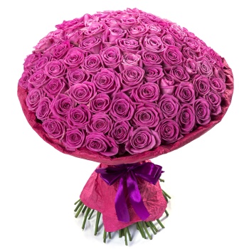 101 розовая роза 50 см
