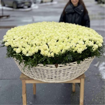 Шикарная корзина из 1001 белой розы 