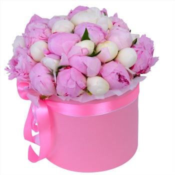Букет из 35 разноцветных пионов в розовой шляпной коробке