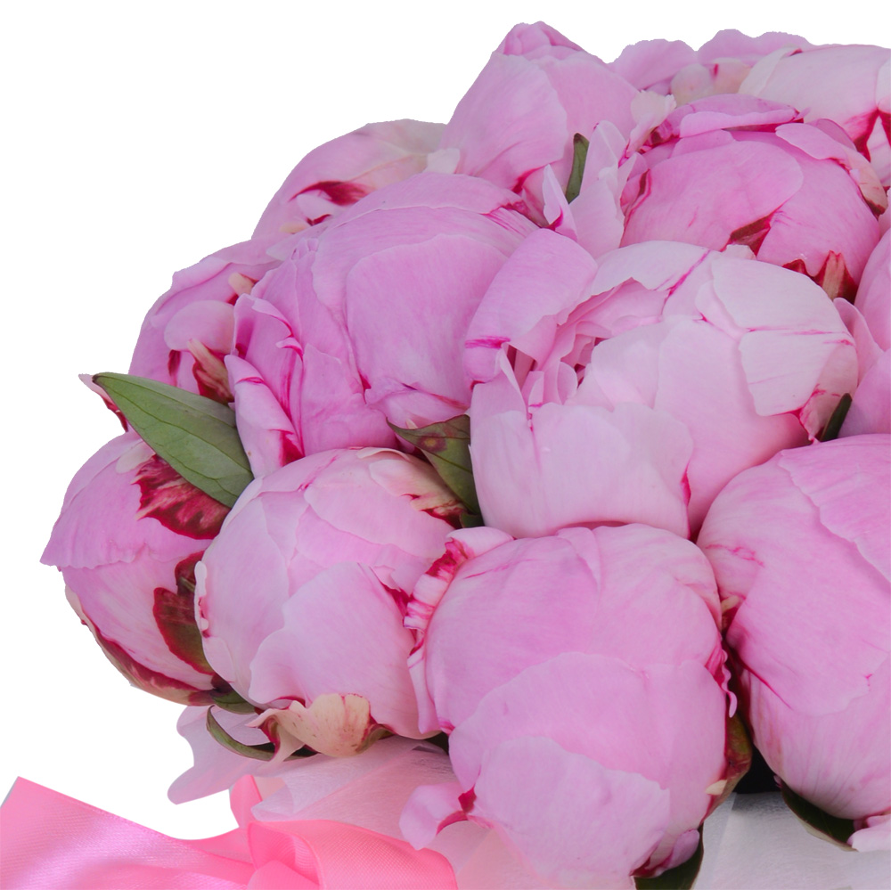 Букет из 21 розового пиона в кремовой шляпной коробке