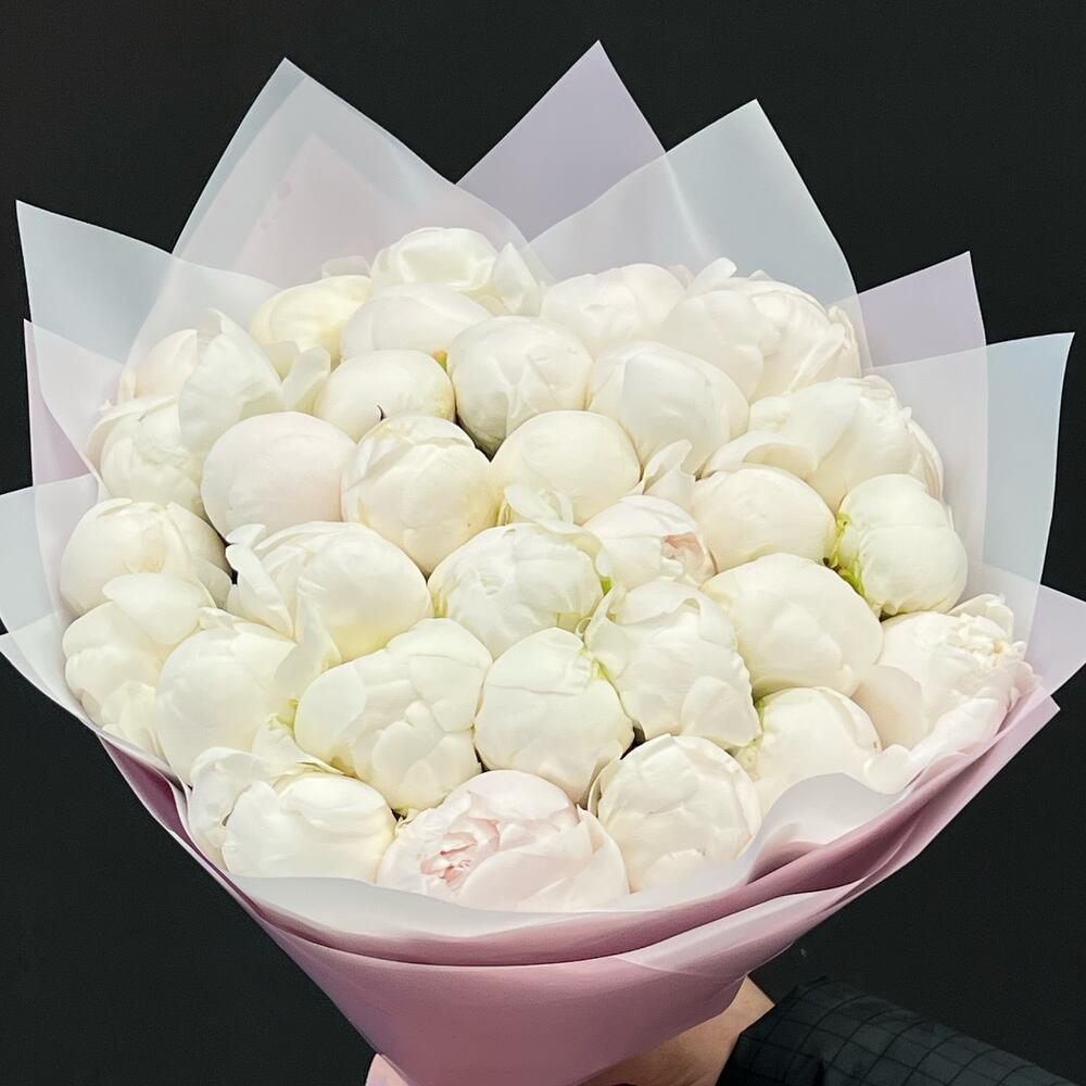 Букет из 31 белого пиона