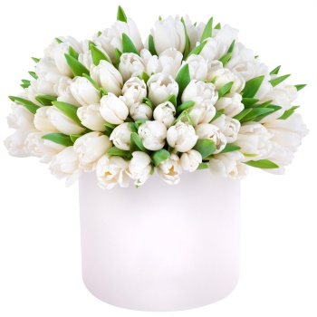101 белый тюльпан в кремовой шляпной коробке