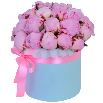 Букет из 25 розовых пионов в голубой шляпной коробке