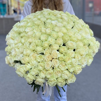 151 белая роза Premium 60 см.