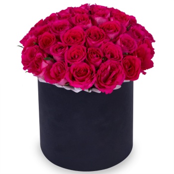 51 малиновая роза в черной шляпной коробке