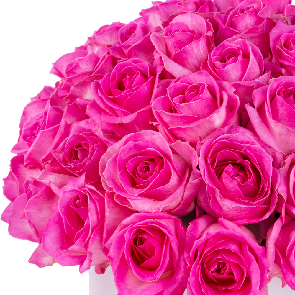 Букет из 51 малиновой розы premium в кремовой шляпной коробке