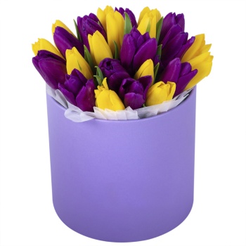 25 разноцветных тюльпан в фиолетовой шляпной коробке