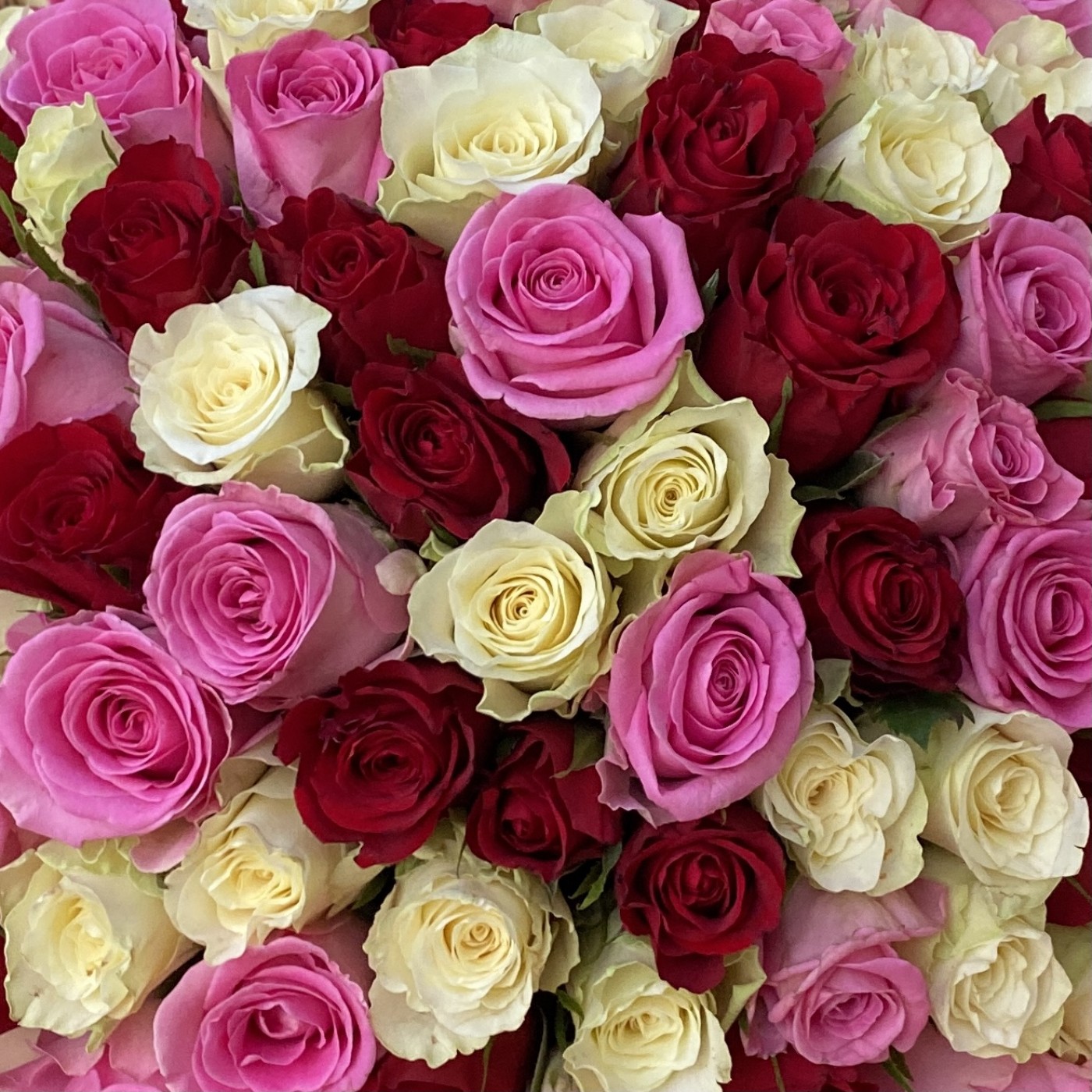 Микс из 101 розы