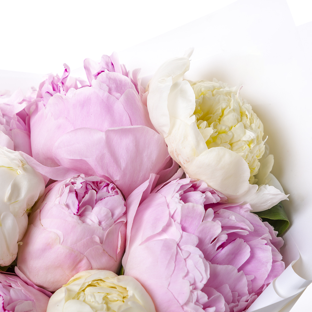 Букет из 13 разноцветных пионов