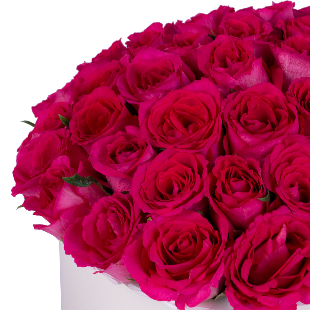 51 малиновая роза в кремовой шляпной коробке