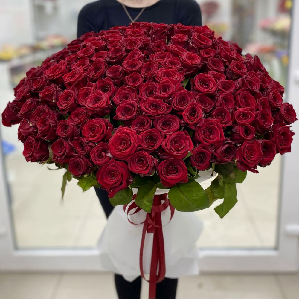 151 красная роза Premium 70 см.
