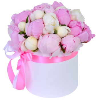 Букет из 25 разноцветных пионов в белой шляпной коробке