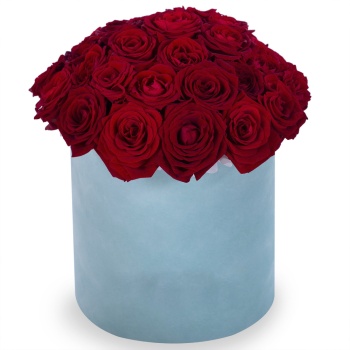 Букет из 35 красных роз premium в зеленой бархатной шляпной коробке