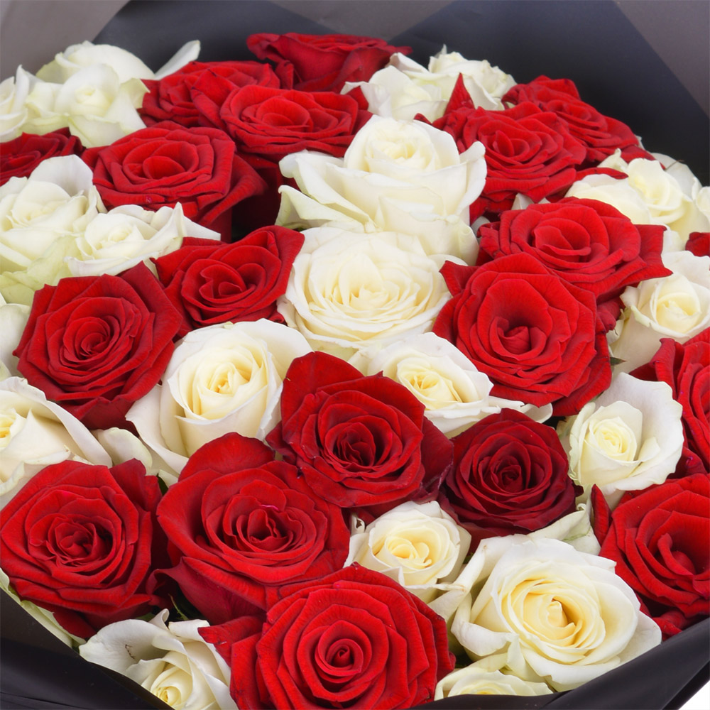 51 разноцветная роза premium 40 см