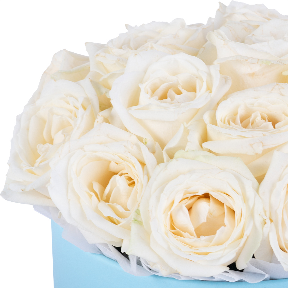 Букет из 19 белых роз premium в голубой шляпной коробке