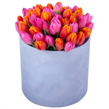 Букет микс из 51 тюльпана в серой бархатной шляпной коробке